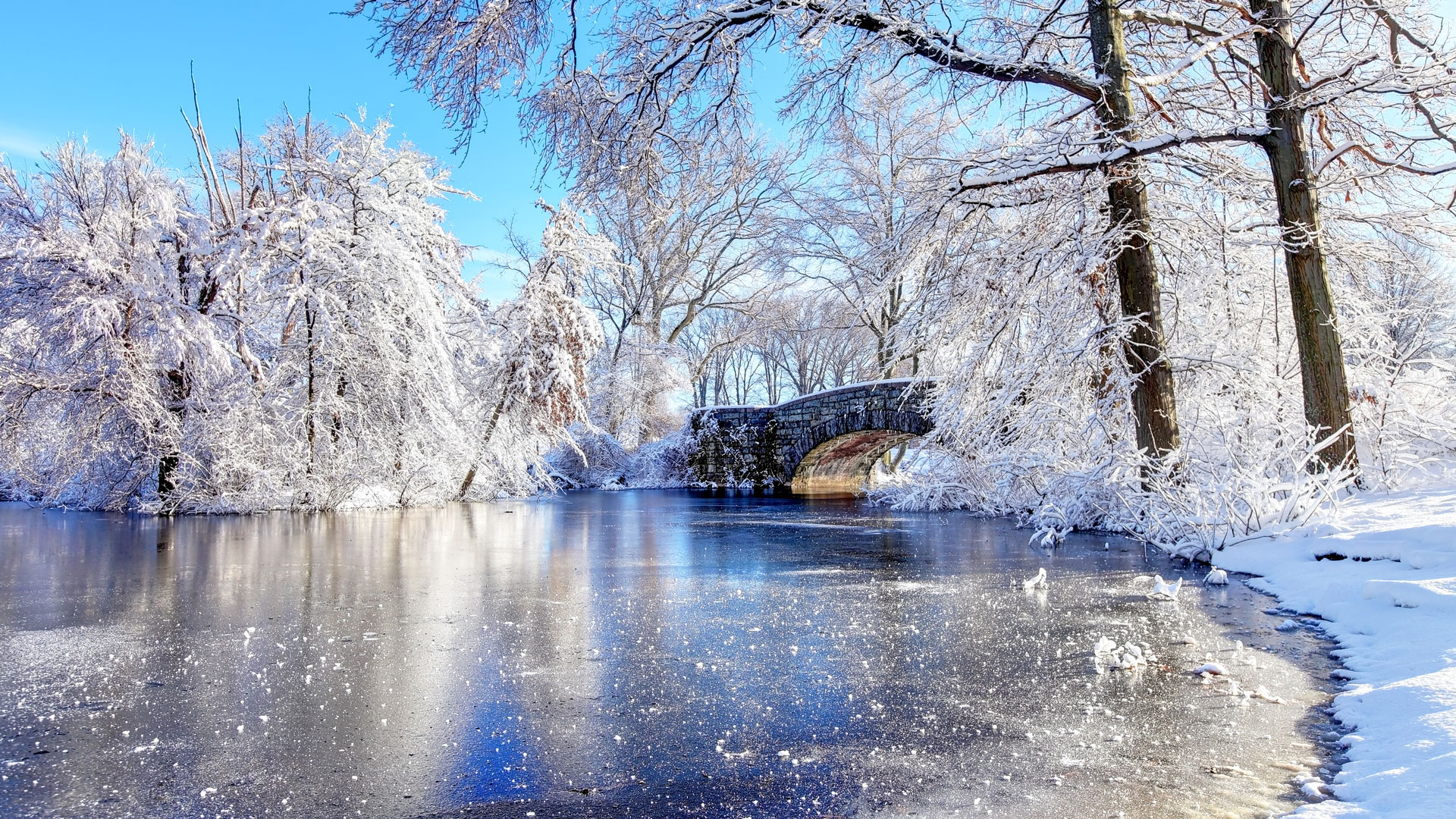 Plan a fun winter day in Mankato