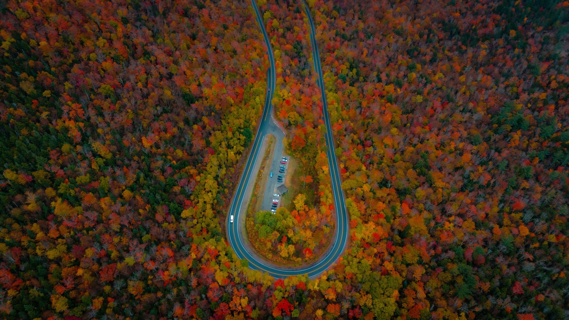 Top Fall Foliage Drives in Minnesota