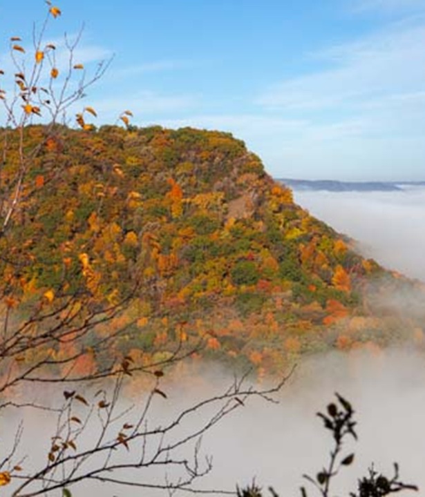 Garvin Heights in Fall