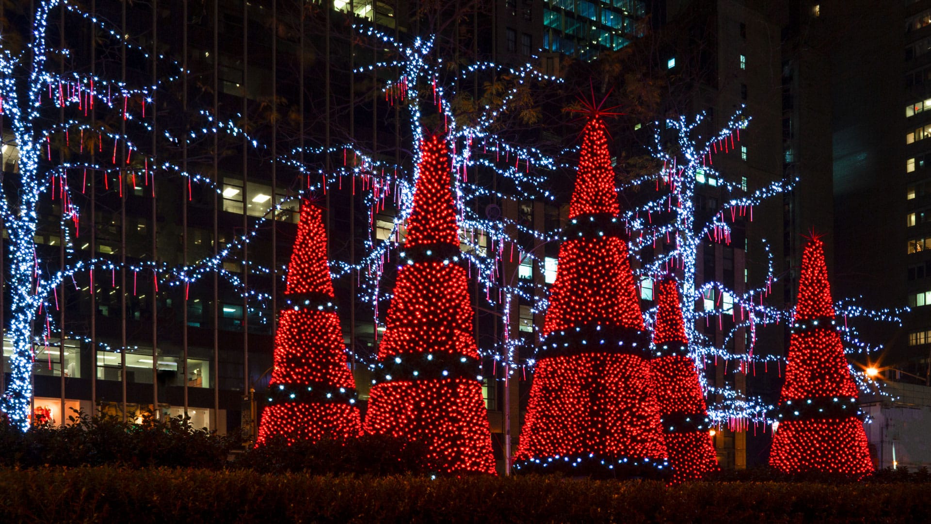 How to Kick Off the Holiday Season in Minnesota