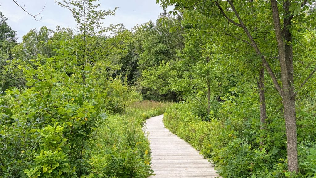 Eloise Butler Wildflower Garden & Bird Sanctuary