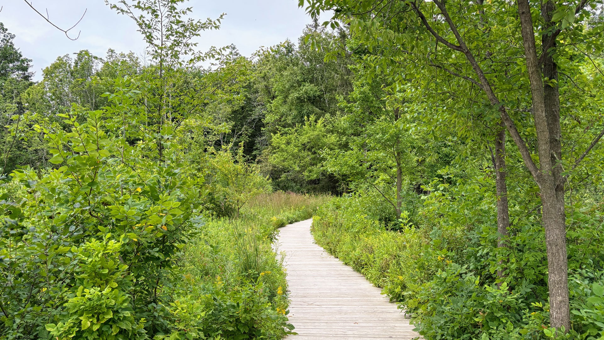 Eloise Butler Wildflower Garden and Bird Sanctuary