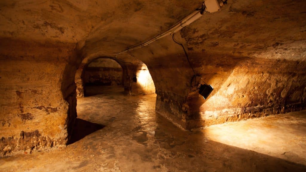 Wabasha Street Caves