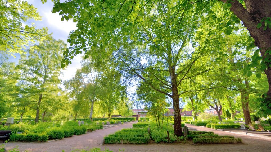 Minneapolis Sculpture Garden