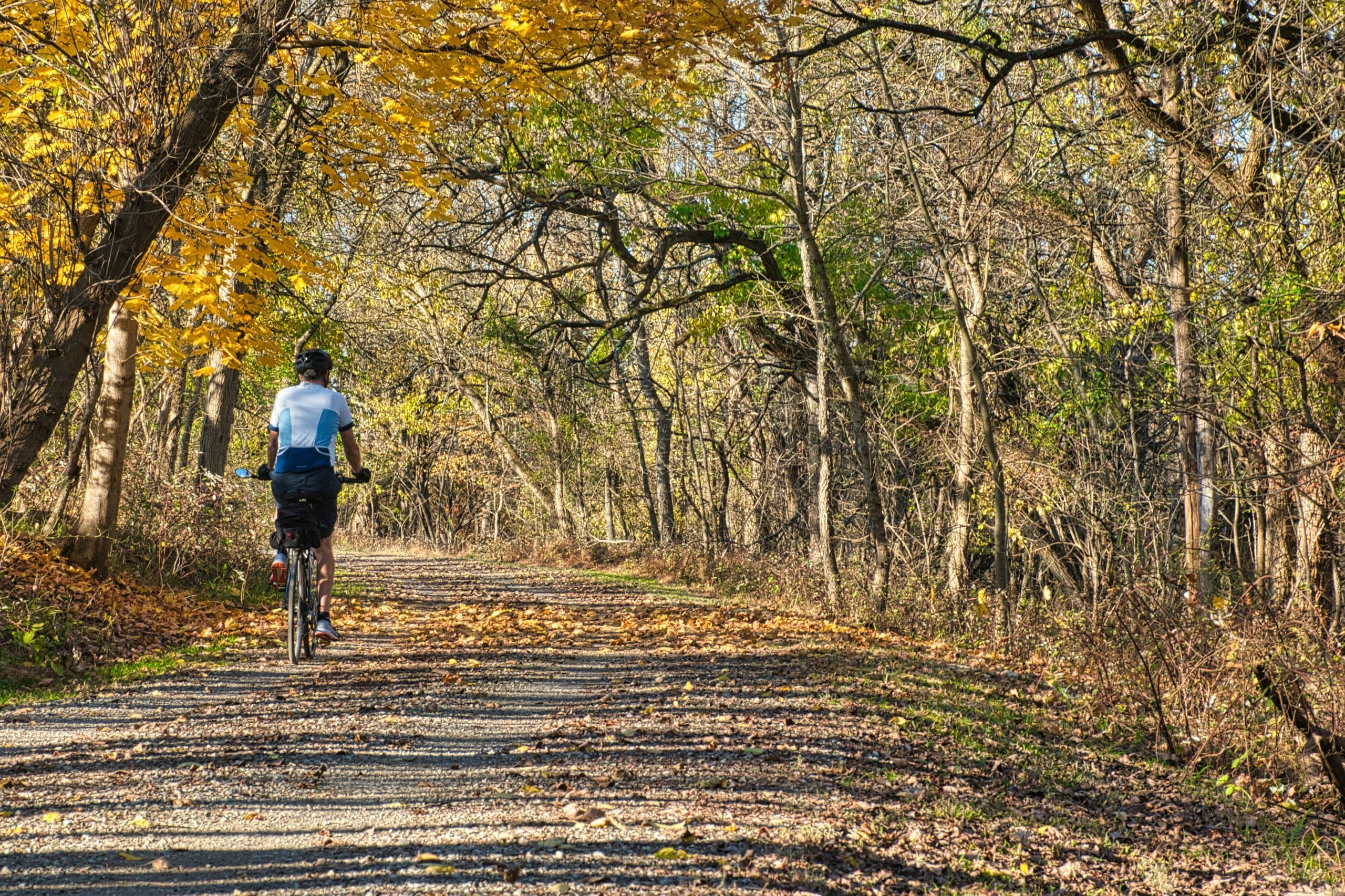Best Bike Trails in Minnesota for Your Next Outdoor Adventure
